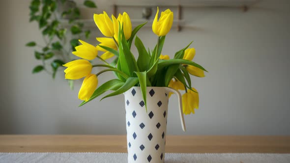 Faded Yellow Tulips In A Flower Vase Reviving Back To Life. zoom-in, hyperlapse alt