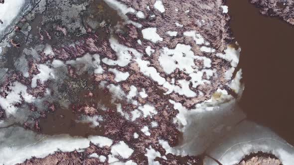Aerial view of peat bog in early spring. Pond with light brown water with remnants of ice and snow. alt