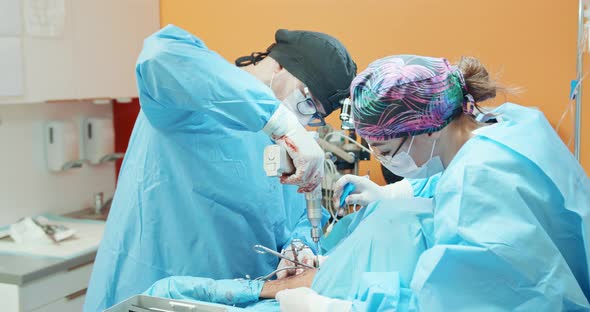 Male Veterinarian in Glasses White Gloves Cap and in Surgical Outfit While He Uses a Surgical Drill alt