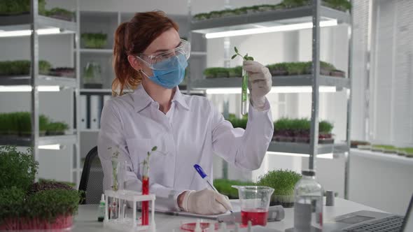 Agriculture Female Scientist in Medical Mask and Glasses Examines Seedlings in Test Tube for Growing