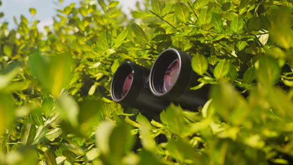 Binoculars among leaves. Observation equipment. Concept of spying technology. alt