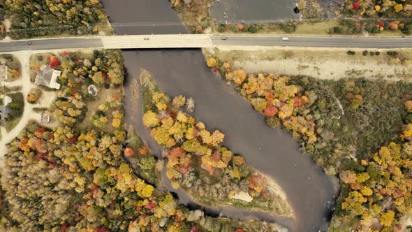 Autumn leaves. beautiful colors - pullout, birds eye view, topview - 4k - Drone - sequence 003/005 alt