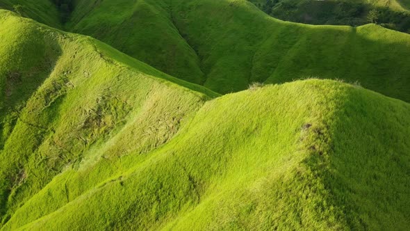 Flight Over a Green Grassy Rocky Hills