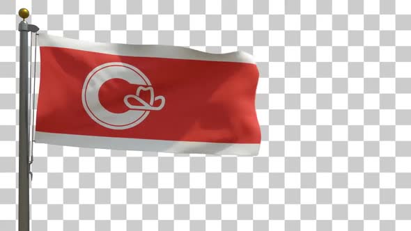 Calgary City Flag (Alberta) on Flagpole with Alpha Channel - 4K alt