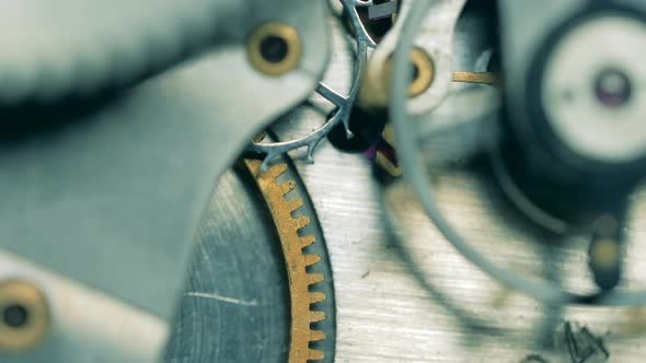 Detailed View of a Functioning Watch Mechanism alt