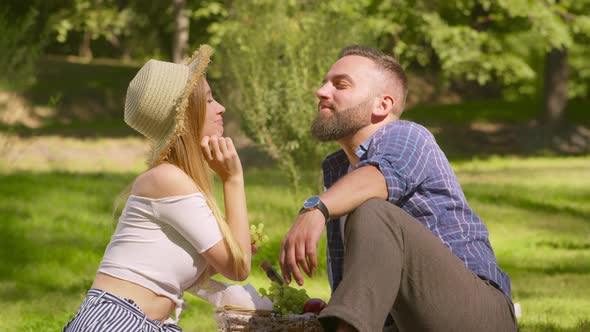 Romantic Picnic Concept alt