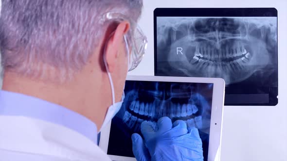 Dentist Looking X Ray On Tablet