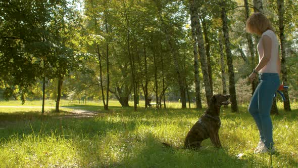 Dog handler training a dog in a park alt