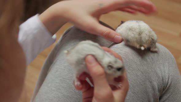 Pets On A Little Girl alt