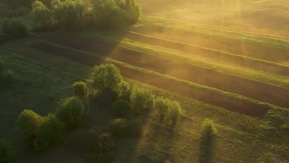 Morning Fog in the Field with a Beautiful Shadow. View From Above alt