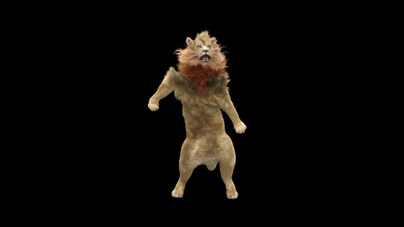 31 Hip Hop Dancing Ch5 Front Hive alt