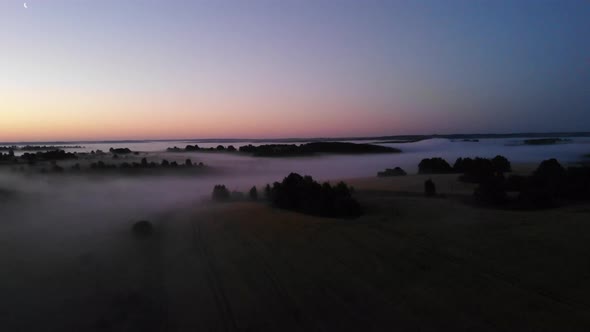 3 Morning Fogs In The Fields