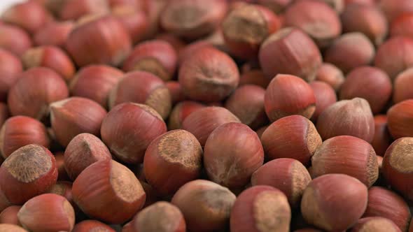 Looped Spinning Hazelnuts with the Shell Closeup Full Frame Background alt