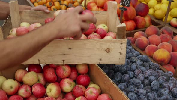 Close-up of Grocery Worker Is Shifts the Apples To Wooden Box