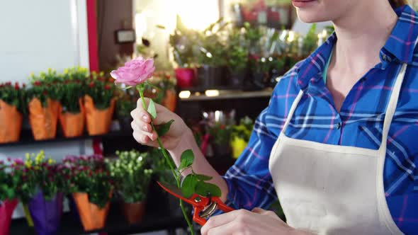 Beautiful female florist smelling pink rose alt