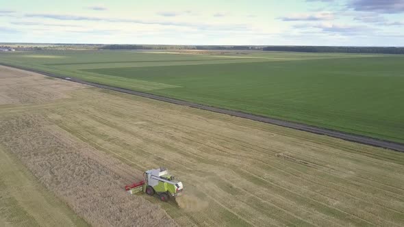 Round Upper Motion Green and White Harvester Operates on Field alt