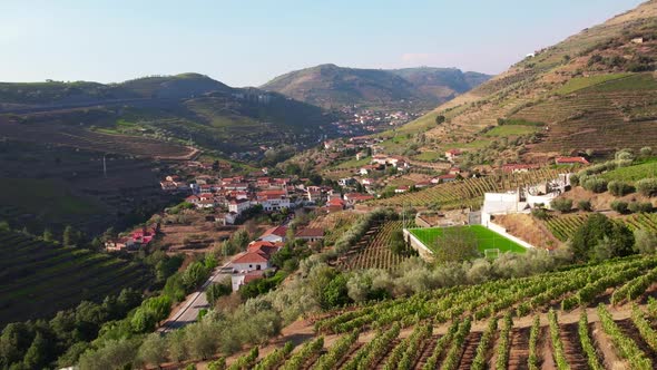 Valley with Vineyards. Douro, Portugal alt