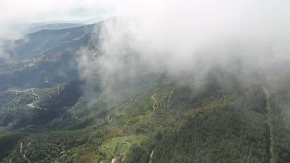Forest Trees Growing on Mountain Hills at Cloudy Day Portugal Europe alt