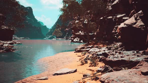 Trees Near Colorado River in Grand Canyon alt