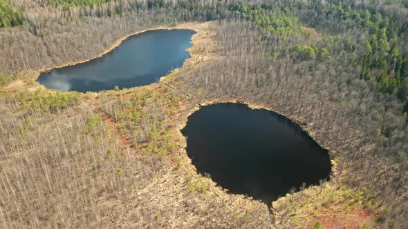 AERIAL: Two Lakes in Forest on Sunny Day in Between Trees
