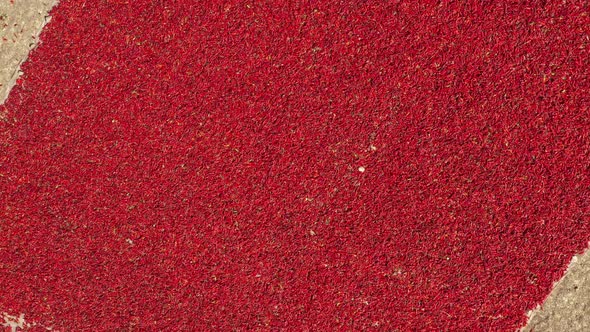 Red Peppers Gathered And Piled Aerial View