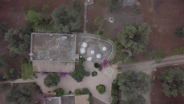 Aerial view Trullo Puglia Traditional italian white stone houses in olive grove South Italy summer