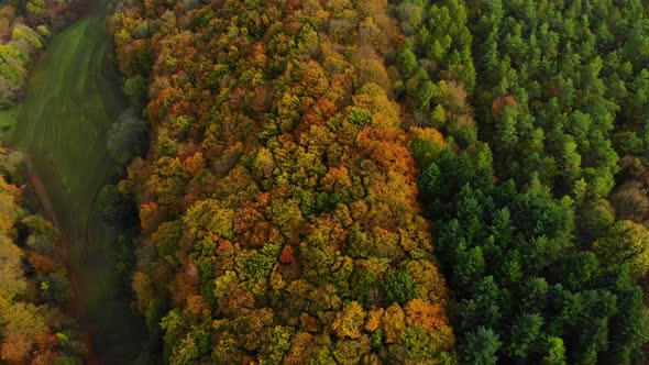 drone flight over beautiful autumn colored forest and autumn landscape alt