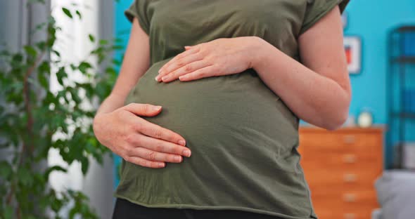 The Pregnant Woman Stands in the Living Room and Strokes Her Belly Runs Hands From alt