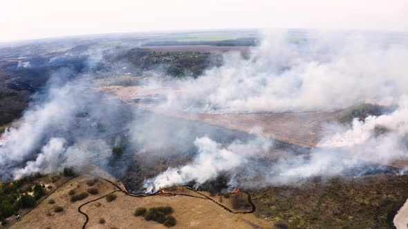 Aerial view of Air Pollution Caused by Wildfires. Flying above Clouds of Smoke alt