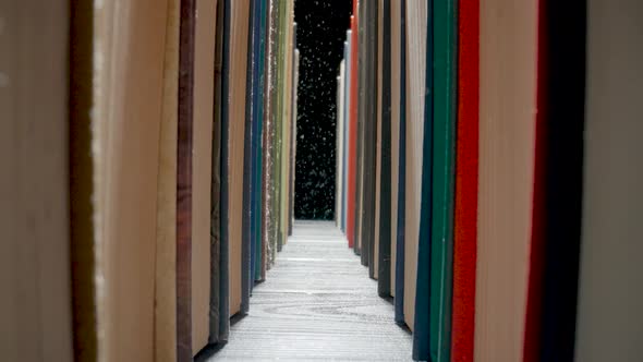 Camera Moves Along Rows of Books with Colored Covers Arranged on Bookshelf in Library alt