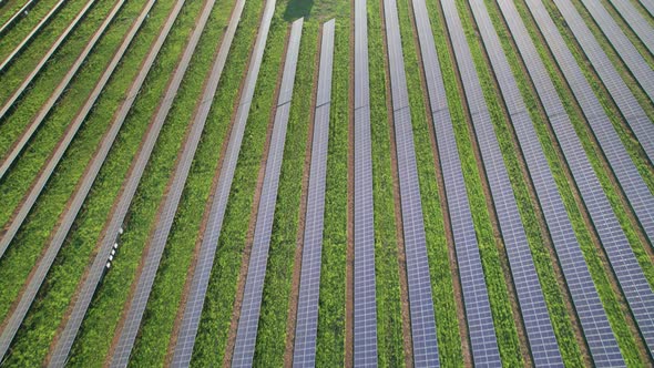Aerial View Solar Power Station on Green Field at Sunset Solar Panels in Row alt