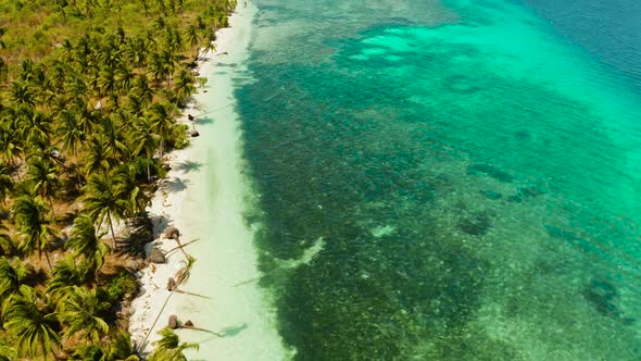 Tropical Island with Sandy Beach alt