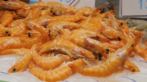 Top View of Raw Whole Tiger Prawns on Ice alt
