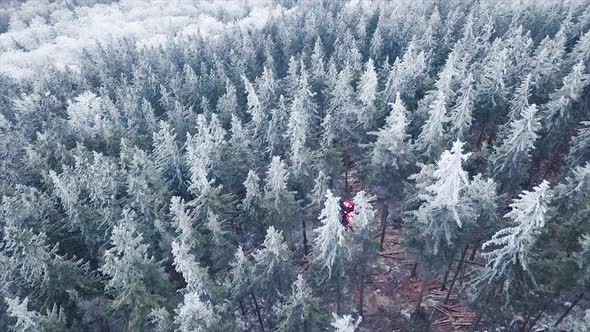 Wood Processing Factory. Aerial shot, Forest Logging Machinery Equipment