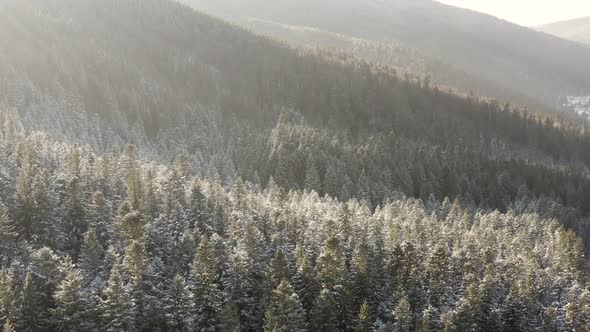 Aerial view of a frozen forest with snow covered trees