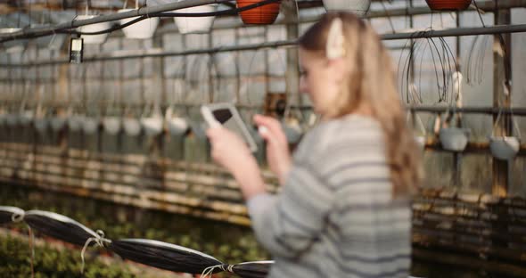 Female Gardener Using Digital Tablet in Greenhouse alt