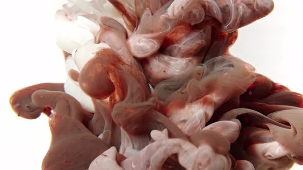Color Brown and White Paint in Water White Background Slow Motion alt