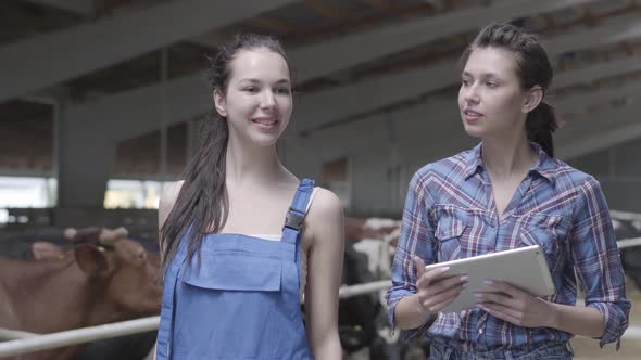Portrait Two Girls Farmers Making a Tour of the Barn with Cows on the Farm. Girl Farmer Shows the alt