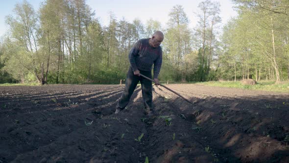 The Peasant Works in the Field