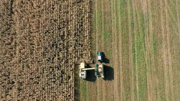 Aerial View Above Harvester Collect Corn In Field And Pour It In Tractor Trailer alt