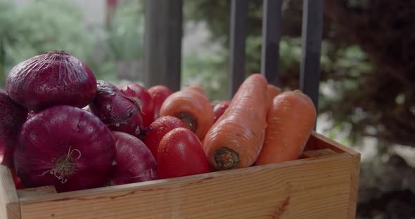 Woman's Hand Takes a Onion From a Box with Vegetables