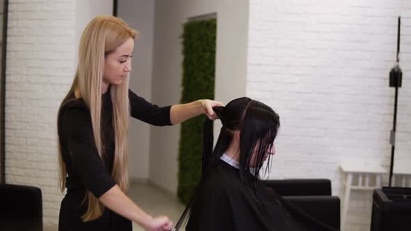 Blonde Hairdresser Holding Scissors and Comb and Shares on Sections Clients Wet Hair for a Perfect alt