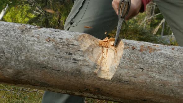 Male Tourist Chopping Wood With An Axe. Woodcutter Cuts The Tree With An Ax. Wood Sawdust Fly