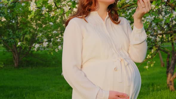 Pregnant woman with apple tree flowers in spring nature.