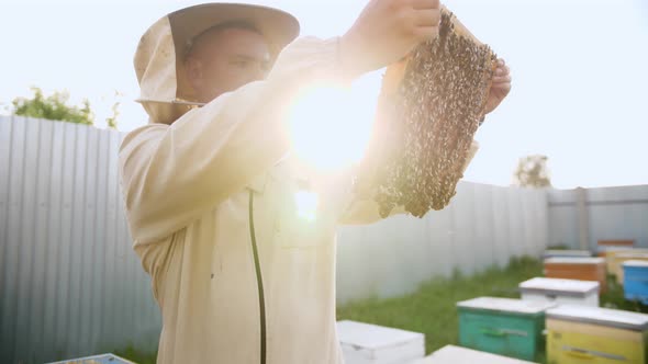 BEEKEEPER OPENING A BEEKEEPING PANEL