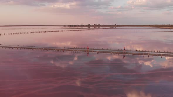 Aerial Drone View to Salt Mineral Lake with Pink Water and Coastline alt