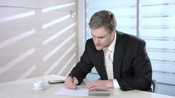 Businessman Counting Profits. alt