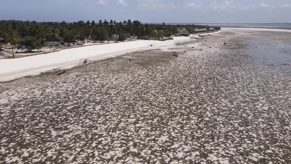 Ocean at Low Tide Near the Coast of Zanzibar Island Tanzania Slow Motion alt