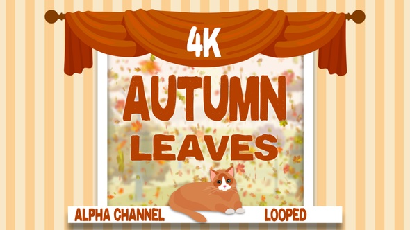 4k Autumn Leaves 4 in 1