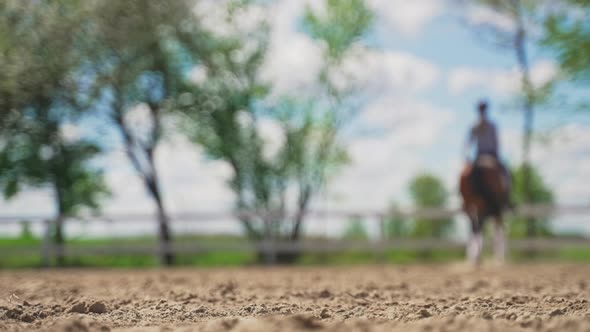 Girl Riding On The Horse Back Moving Away From The Camera  Blurry Vision alt